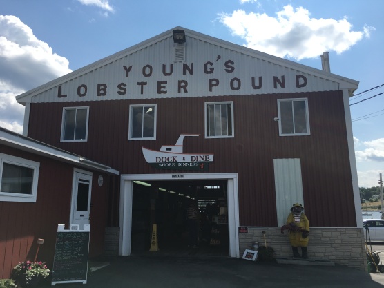 ME - Young's Lobster Pound (1)
